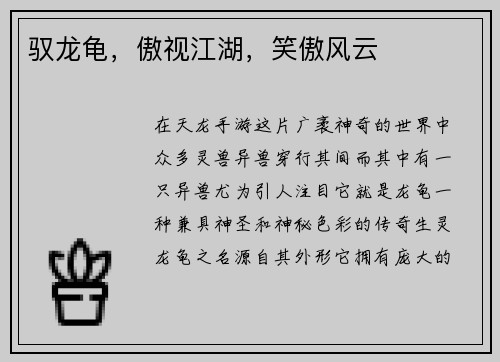 驭龙龟，傲视江湖，笑傲风云